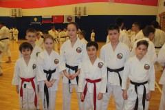 Международные семинар и турнир по каратэ JKS 27-29 марта 2015 года, г. Люберцы