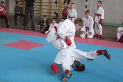 5-ый Открытый турнир Краснодарского края  по каратэ 10-11 апреля 2010 года, г. Тимашевск