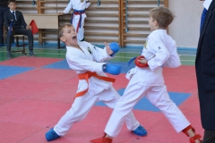 Клубный турнир 26 октября 2014 года