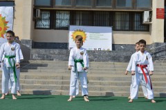Показательные выступления в апреле и в мае 2015 года