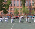 54.jpg