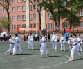 59.jpg