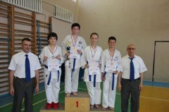Турниры ВФКРО 2014 года